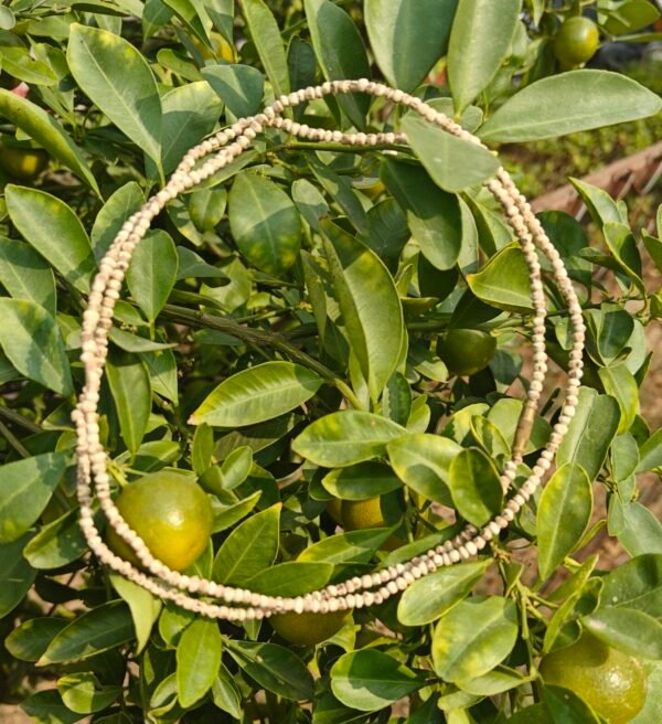 Tulsi Kanthi Mala (Barik Daana)