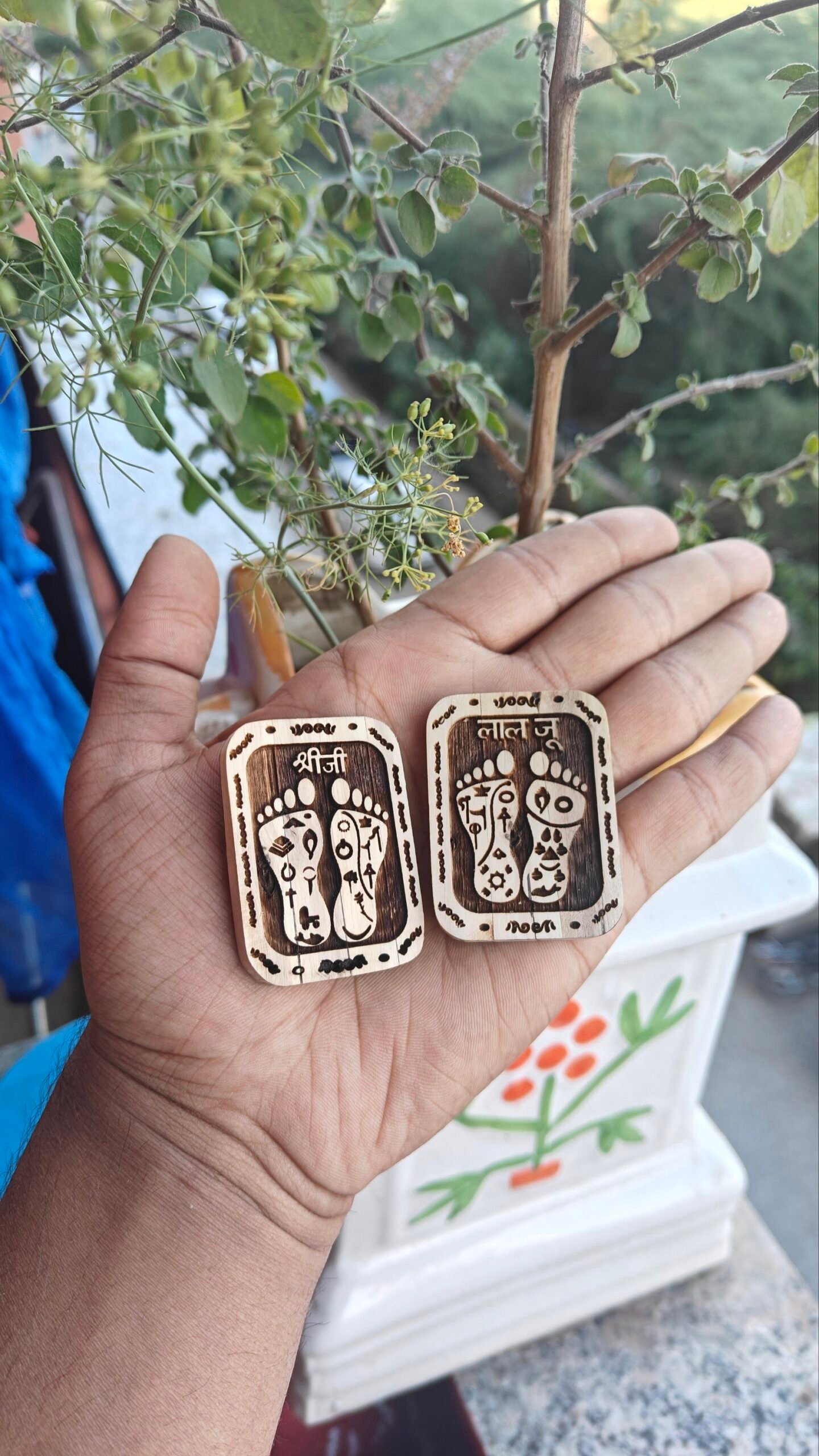 Shree Ji and Thakurji Tulsi charan seva