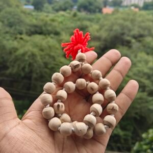 Tulsi sumarni mala 27+1 beads (12mm,13mm)