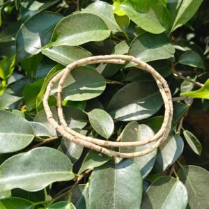 Tulsi Kanthi Mala (Patli)