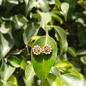 Ram naam Tulsi Earrings
