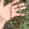1 Round Brown Tulsi mala (Long beads) - Thumbnail Image 2