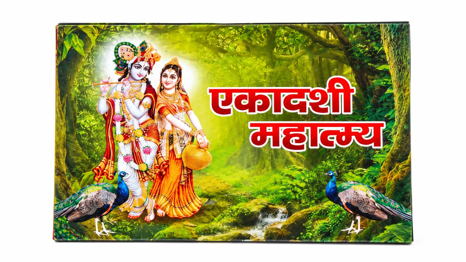 Ekadashi Mahatmya - Image 1