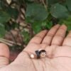 Pure Tulsi Floral Design Earrings | Handcrafted Round Tulsi Studs - Thumbnail Image 2