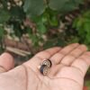 Sun Design Pure Tulsi Earrings | Handcrafted Devotional Earrings - Thumbnail Image 2
